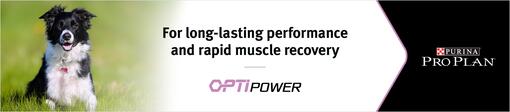 PRO PLAN Optipower