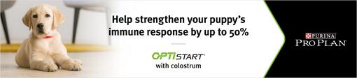 PRO PLAN Optistart