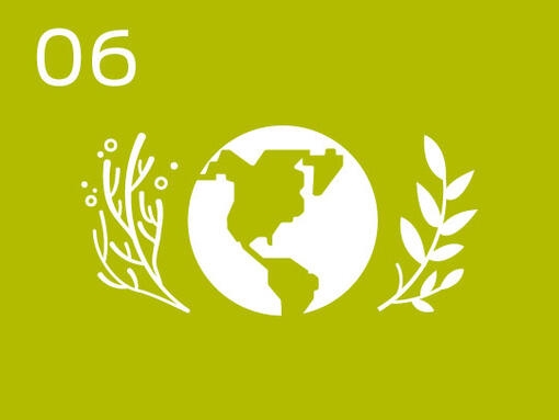 Infographic world and plants
