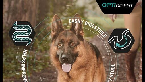 PRO PLAN Optidigest