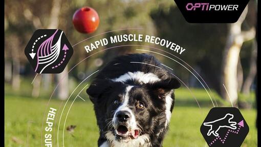 PRO PLAN Optipower