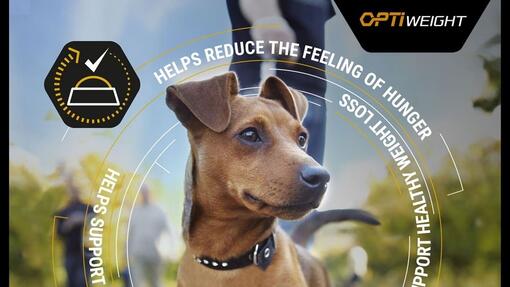 PRO PLAN Optiweight
