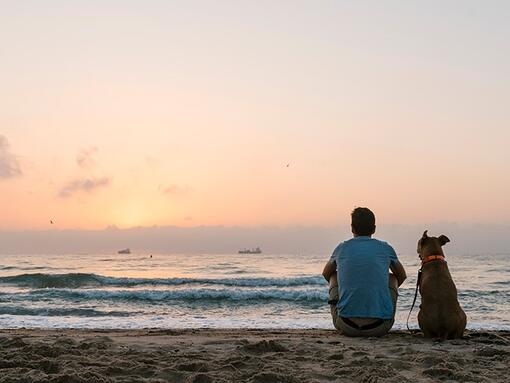 Man and dog watching a sunset