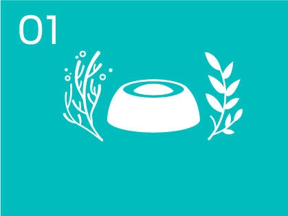 Infographic bowl and plants