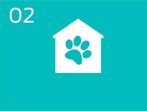 Infographic pet footprint and house