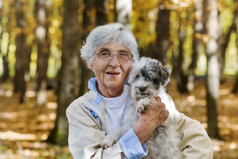 Pet human bond