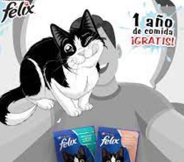 Felix products Promotion image