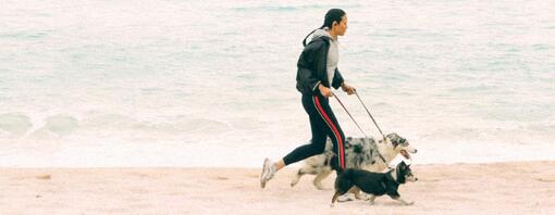 A woman running with her two dogs at the beach