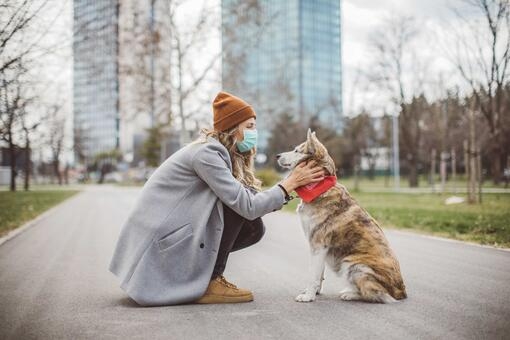 A woman petting her dog in the middle of the street