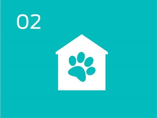 Infographic pet footprint and house