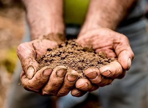 Pair of hands showing a handful of dirt