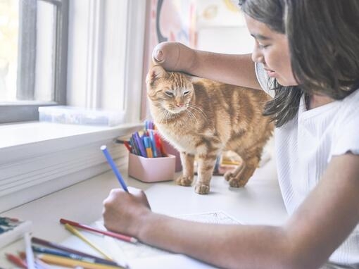 PwD woman petting her cat at the desk