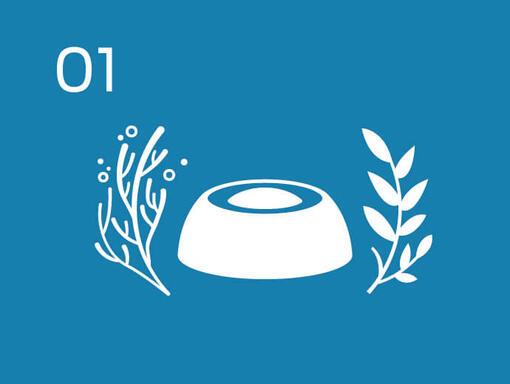 Infographic bowl and plants