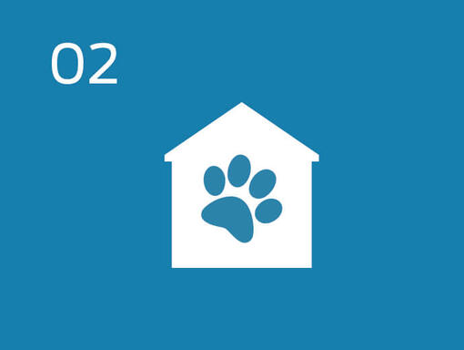 Infographic pet footprint and house