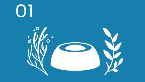 Infographic bowl and plants