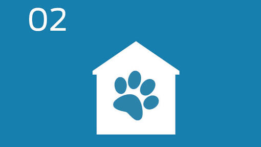 Infographic pet footprint and house