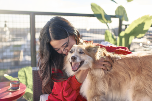 Purina Better with Pets Prize