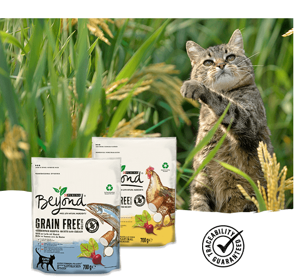 Cat Beyond Dry Grain Free Range Cat Beyond Dry Grain Free Range