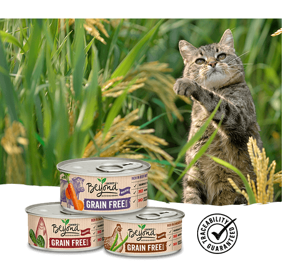 Cat Beyond Wet Grain Free Range Cat Beyond Wet Grain Free Range