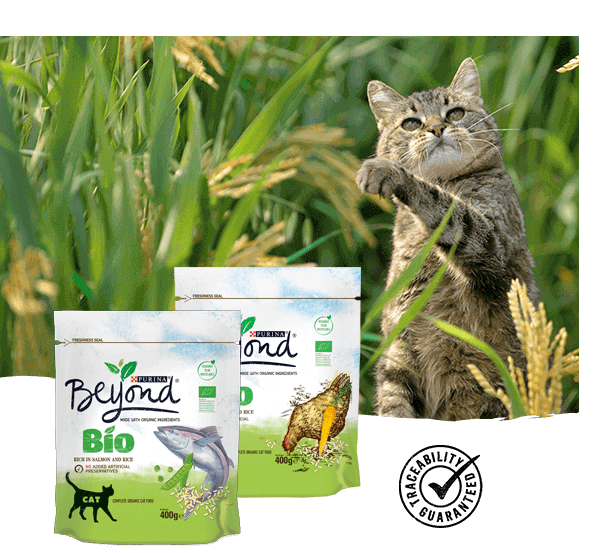 Cat Beyond® Dry BIO Range Cat Beyond® Dry BIO Range
