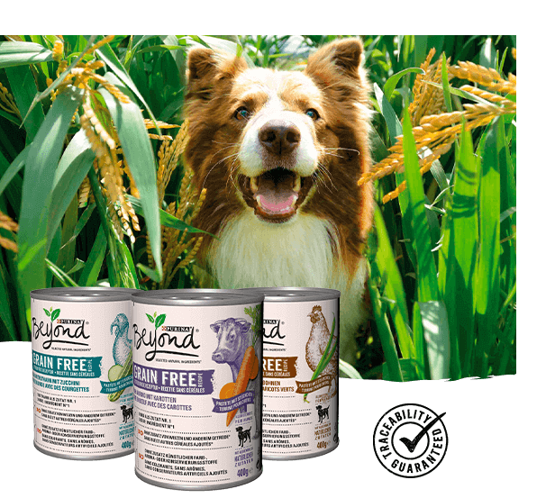 Dog Beyond Grain Free Wet range Dog Beyond Grain Free Wet range