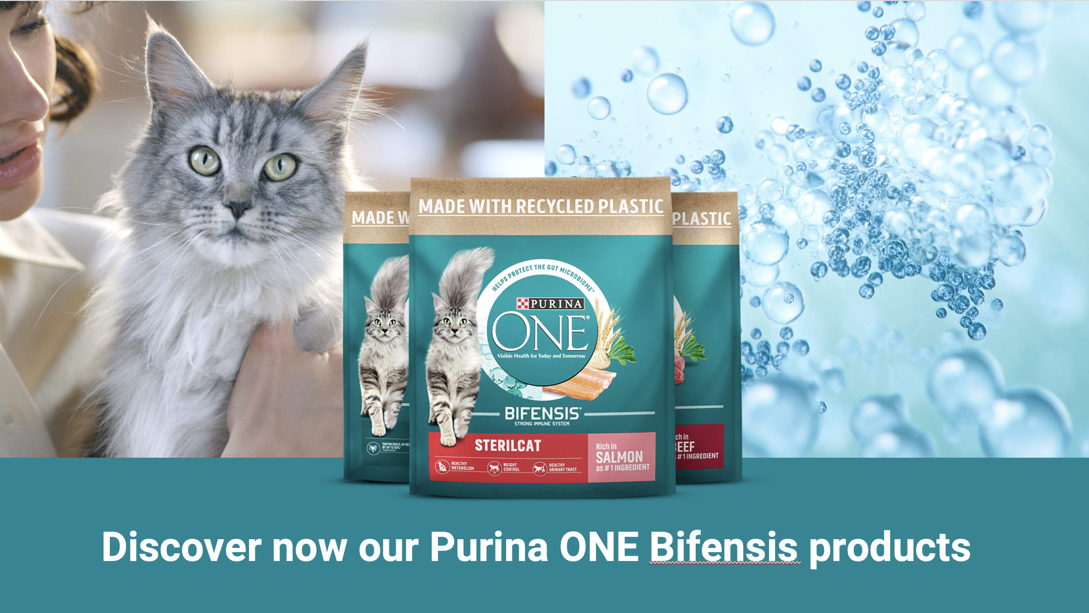 Purina ONE Bifensis Purina ONE Bifensis