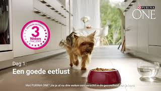 Purina One Dog 3 Weeks Challenge