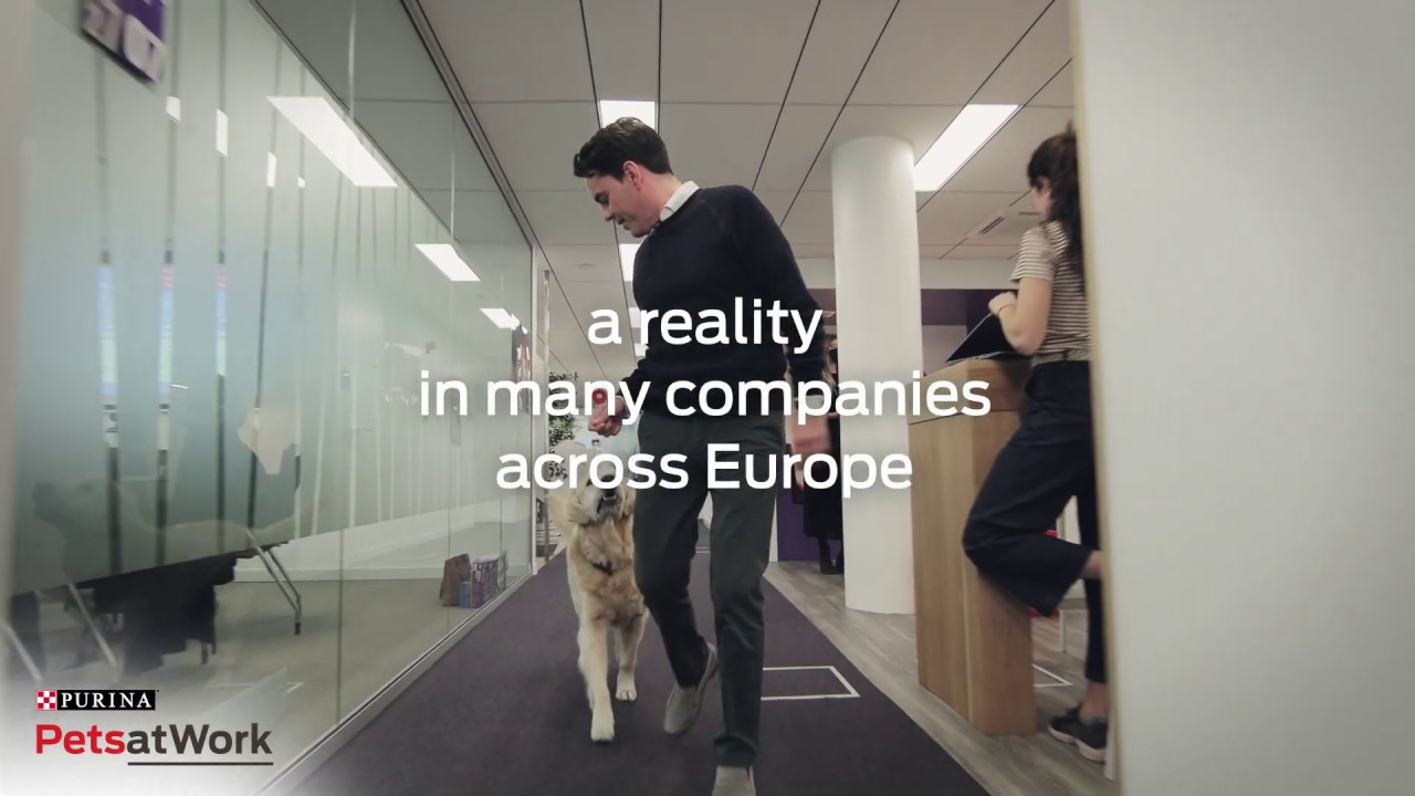 Purina PetsatWork Programme - A great success across Europe!