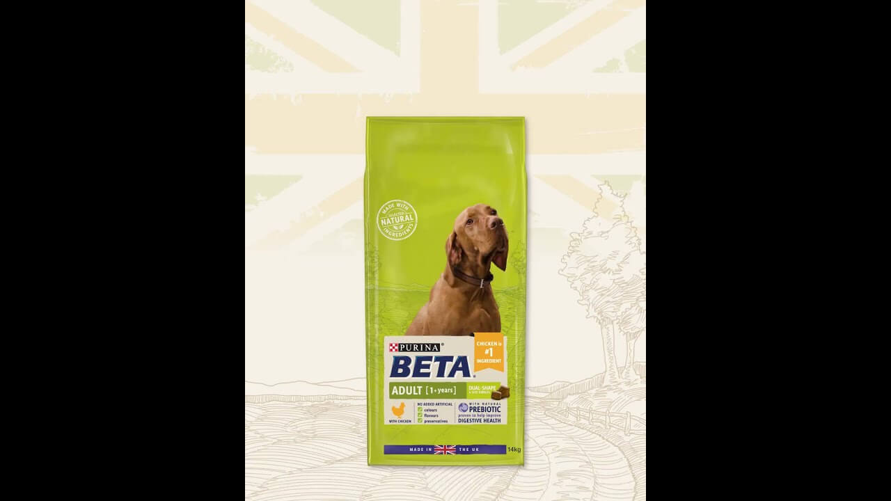 Purina Beta